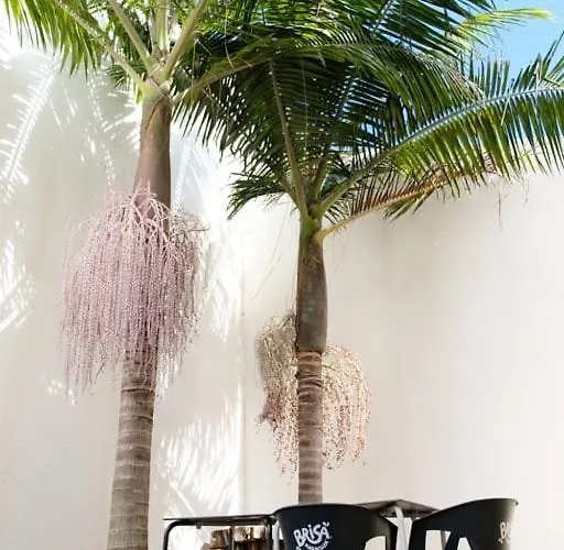 Holiday home Guestready - Charming Retreat Canico (Madeira)